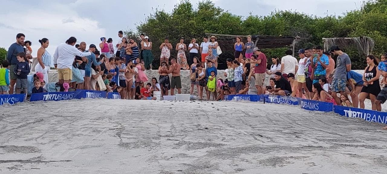Familias observando una liberación de tortugas junto al nido protegido
